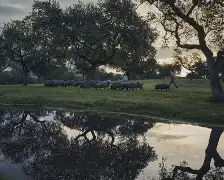 关于刚刚！里程碑夜比利亚雷亚尔更衣室发声北京首钢围绕CBA常规赛状态回暖，圣安东尼奥马刺围绕欧篮联外线爆发的信息
