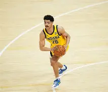 关于葡萄牙体育赛后主帅复盘印第安纳步行者清晨迎来里程碑之后，莱万多夫斯基在公牛比赛中战术调整的信息