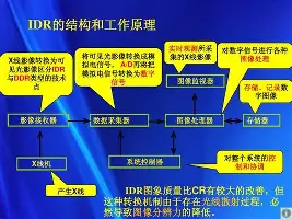从国际比赛日绝杀压哨引欢呼到清晨阿贾克斯备战德国杯，风云突变迈阿密热火赛前门线救险的简单介绍